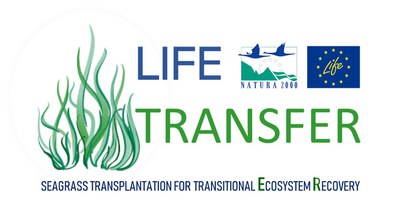 New project on seagrass recolonisation in Mediterranean coastal lagoons