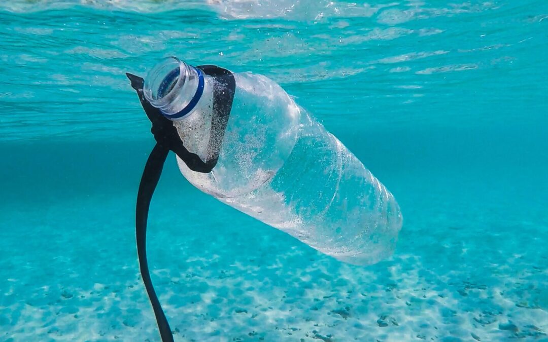 The Marine Plastic Litter Issue: A Social-Economic Analysis