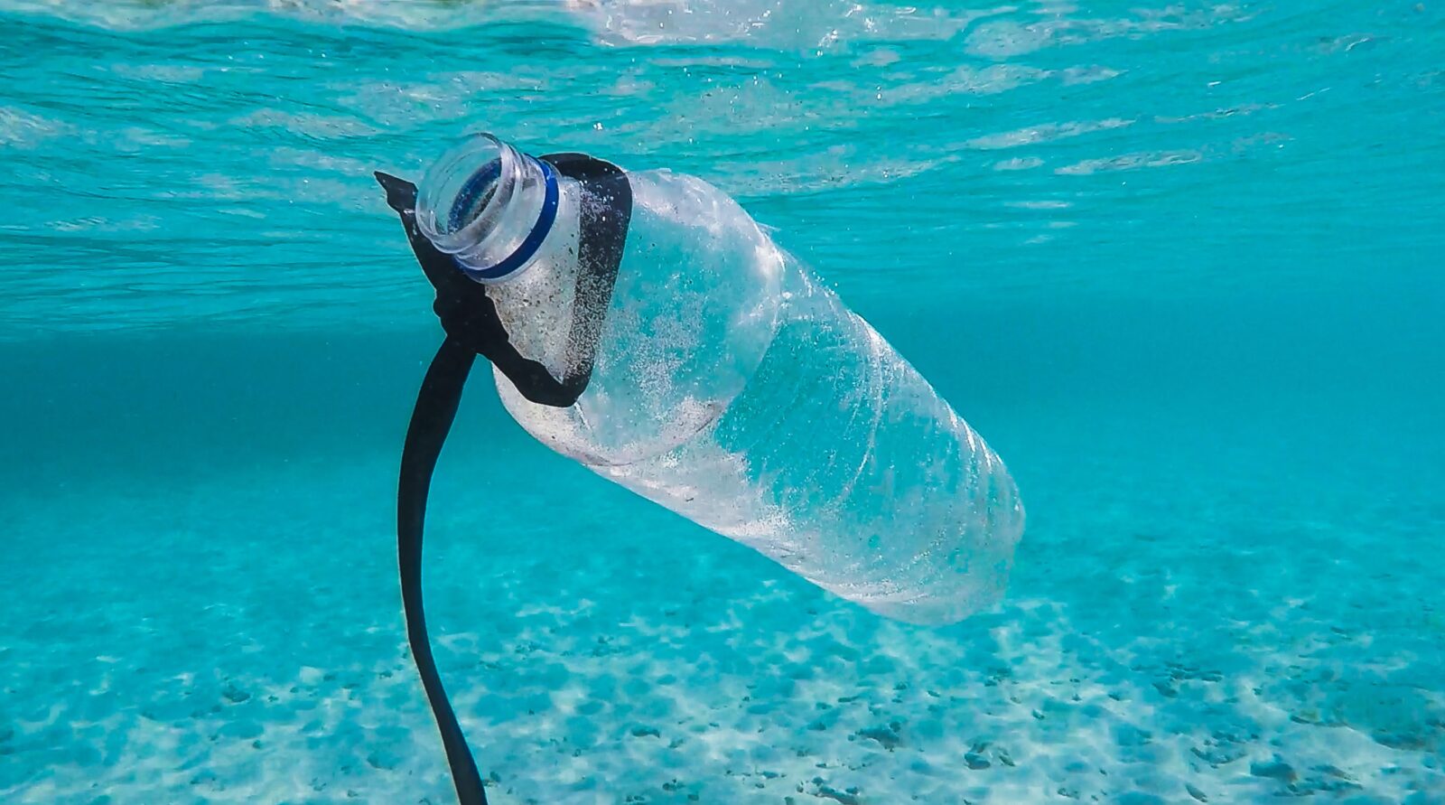The Marine Plastic Litter Issue: A Social-Economic Analysis