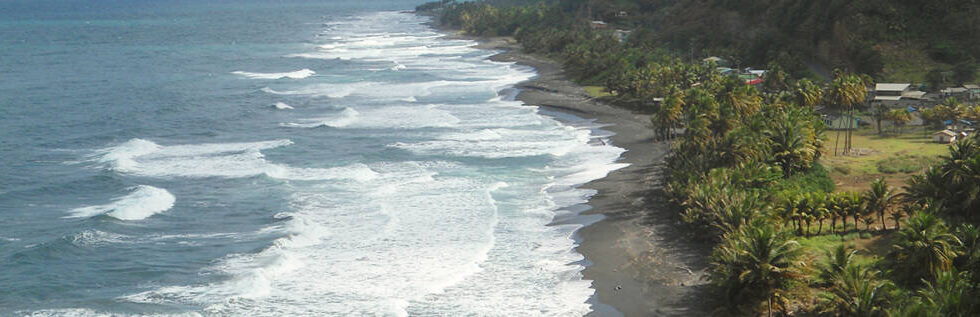 Caribbean