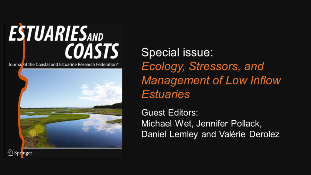 Special Issue flyer